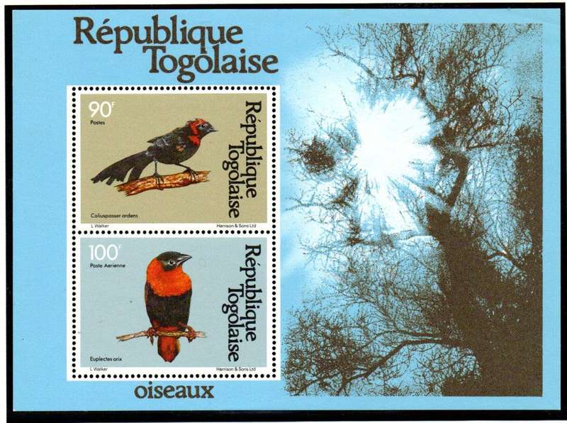 Togo 1981 birds umm mini sheet  SGMS1535  nice thematic item.