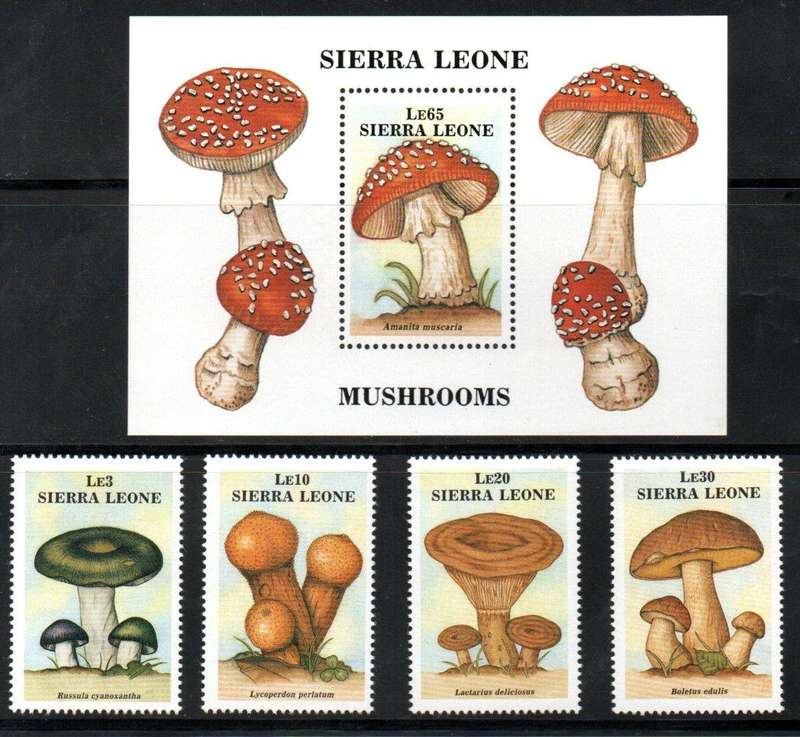 Sierra Leone 1988 fungi umm set of (x4) + mini sheet  SG1121-25  CV GBP 11