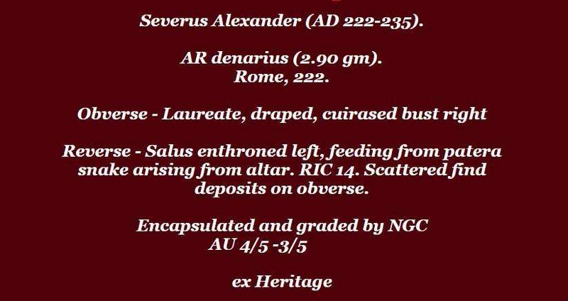 AR Denarius, NGC Certified Severus Alexander AU Roman coin 2
