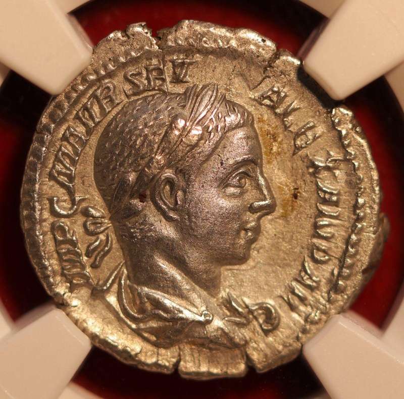 AR Denarius, NGC Certified Severus Alexander AU Roman coin