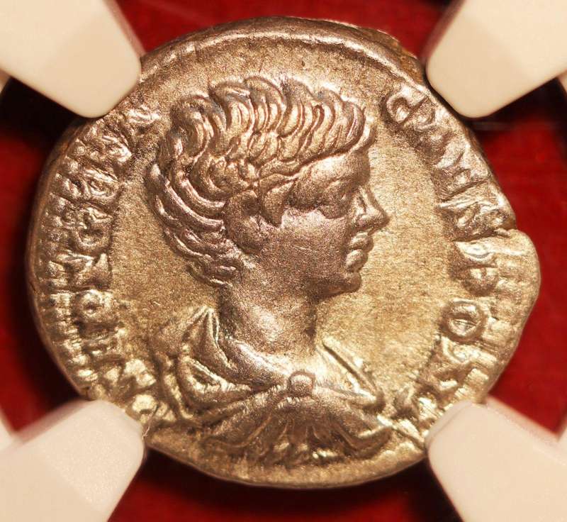 AR Denarius, NGC Certified XF Geta Roman Silver coin