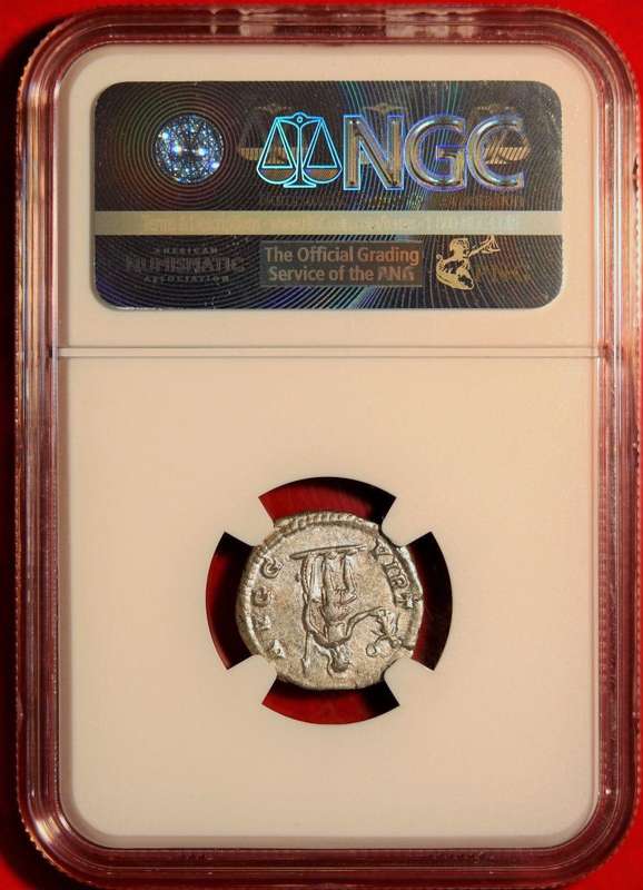 AR Denarius, NGC Certified XF Septimius Severus Roman coin