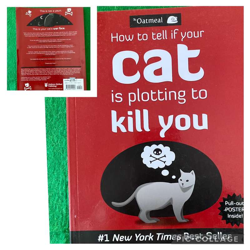 HOW TO TELL IF YOUR CAT IS PLOTTING TO KILL YOU BOOK