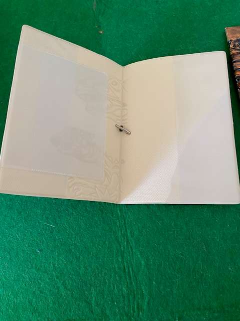 KIDDIES PASSPORT HOLDER