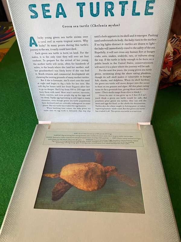 OCEAN A PHOTICULAR BOOK CAROL KAUFMAN MOVING 3D VISUAL ANIMATION