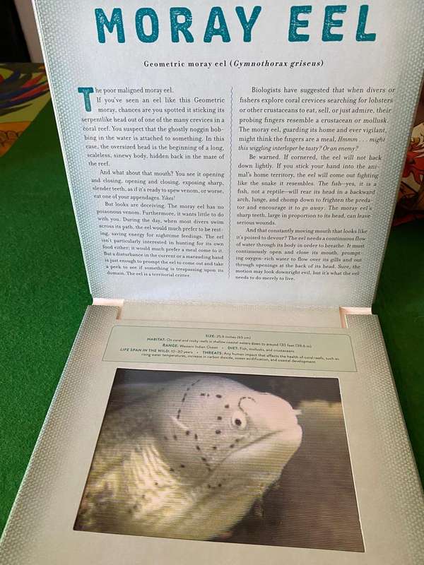 OCEAN A PHOTICULAR BOOK CAROL KAUFMAN MOVING 3D VISUAL ANIMATION
