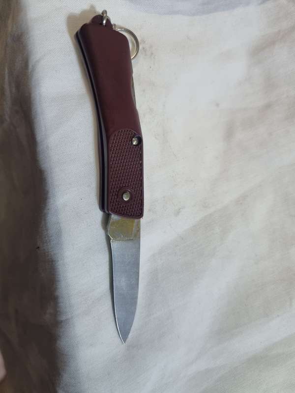Schrade night hawk knife