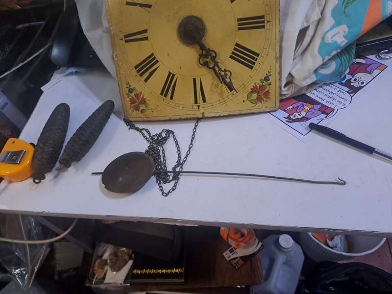 Cuckoo clock not working
