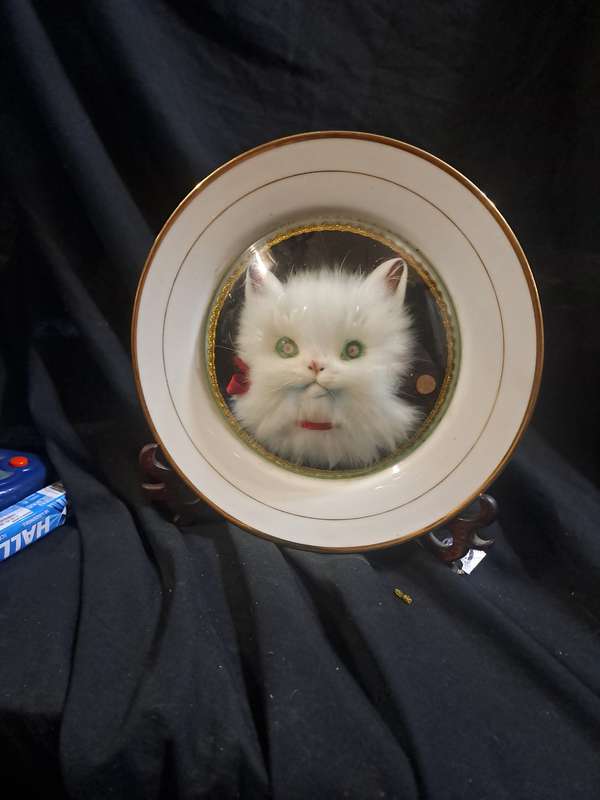 1950s 3d fluffy cat plate