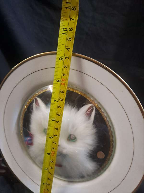 1950s 3d fluffy cat plate