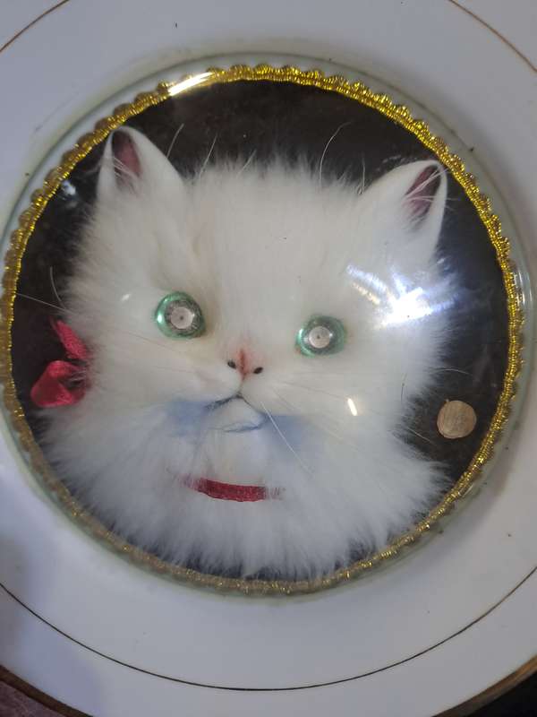 1950s 3d fluffy cat plate