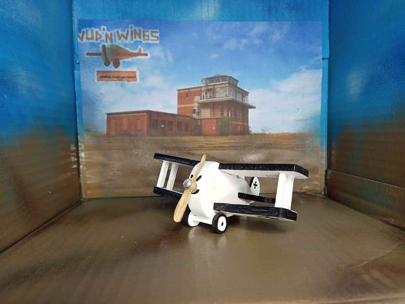 Handmade 1/48 scale, DFW Floh, wooden model.