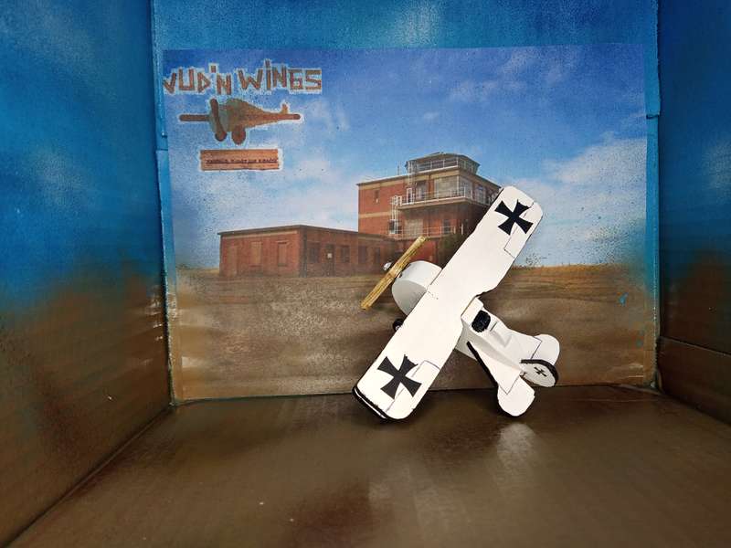 Handmade 1/48 scale, DFW Floh, wooden model.