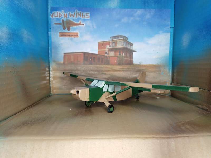 Handmade 1/48 scale, Atlas Kudu, wooden model.