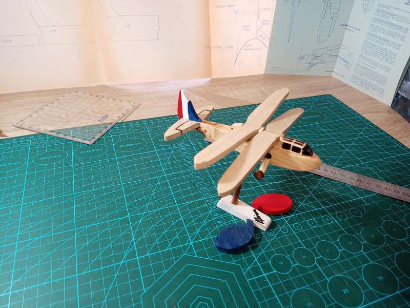 Handmade 1/48 scale, Riout Alerion Ornithopter, wooden Model