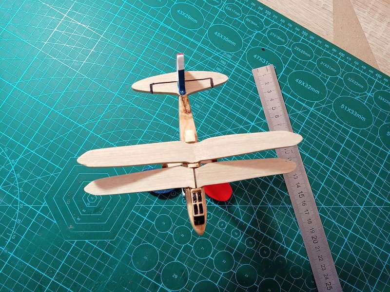 Handmade 1/48 scale, Riout Alerion Ornithopter, wooden Model