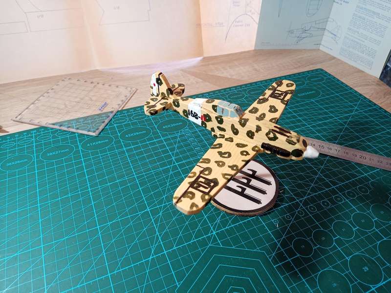 Handmade 1/48 scale, Macchi MC.205 Veltro, wooden model.