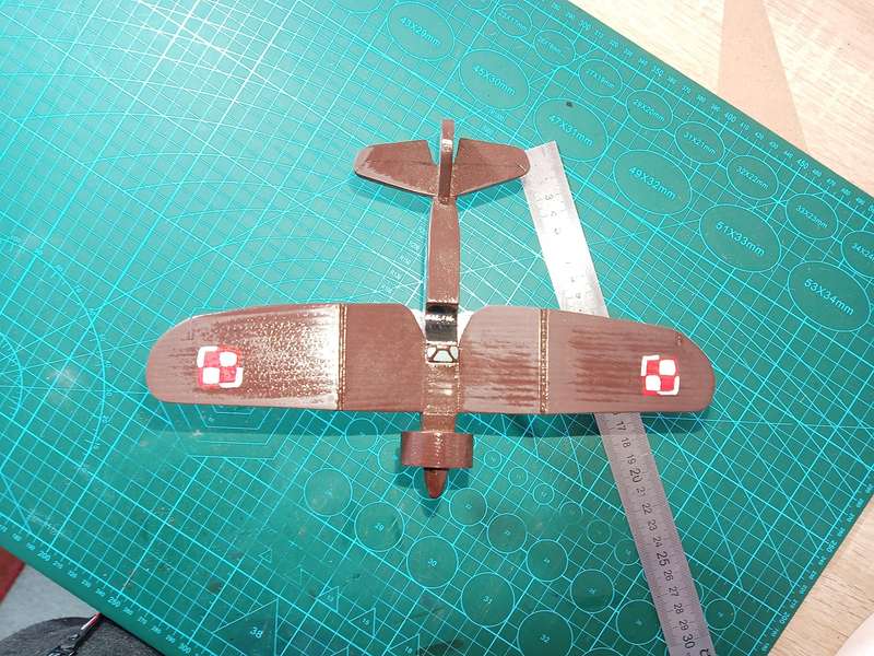 Handmade 1/48, PZL P.11c fighter, Wooden Model