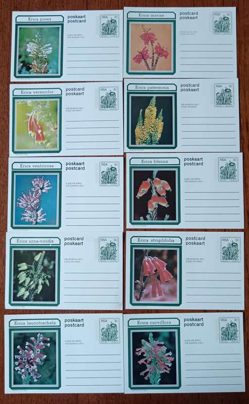 RSA 1977 4 sets of 10 Erica postcards