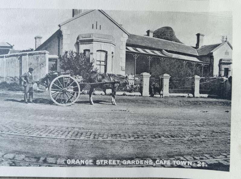 Large card by G Budricks' Adderley Art Gallery Cape Town of Orange Street early 1900s
