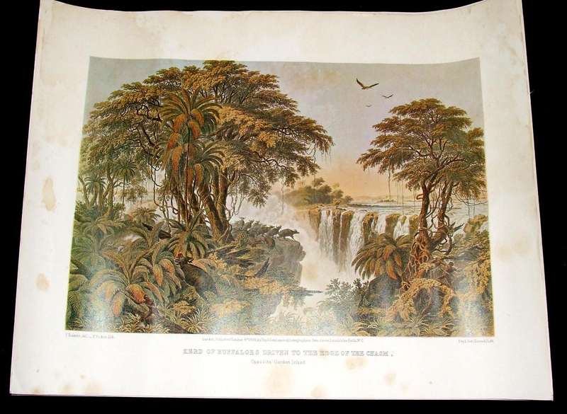 Five Vintage Prints by T. Baines