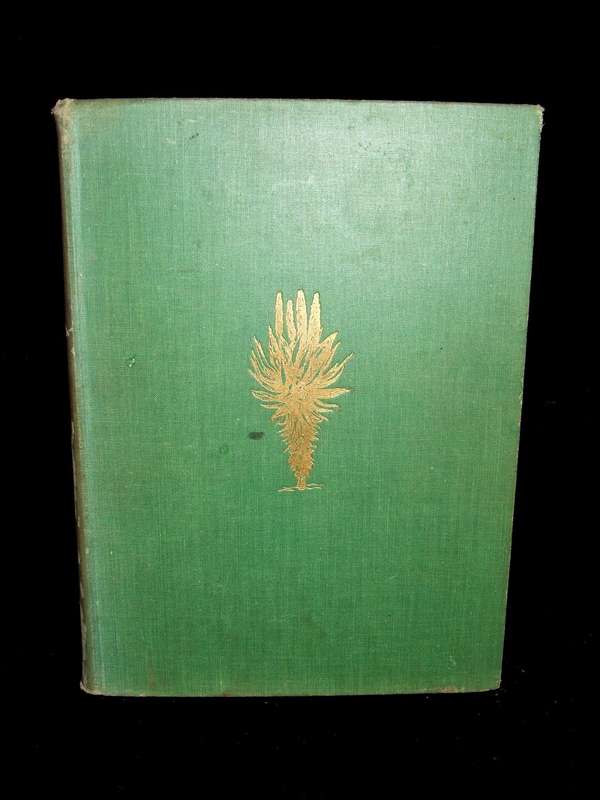 The Aloes of South Africa
