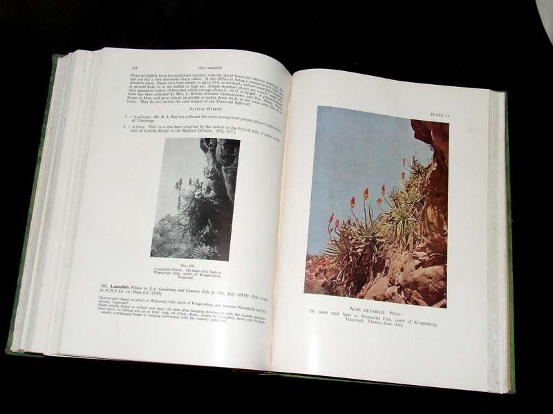 The Aloes of South Africa