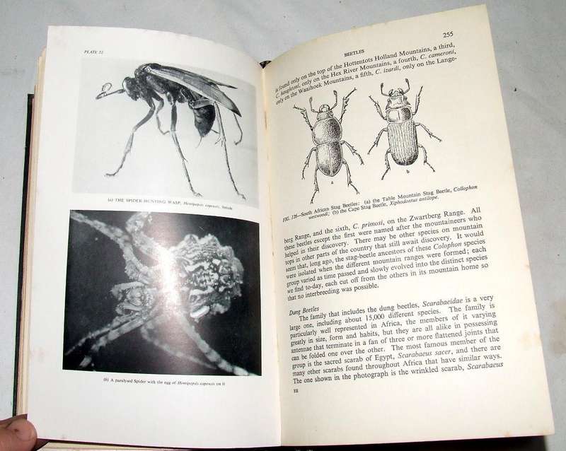African Insect life by S.H. Skaife