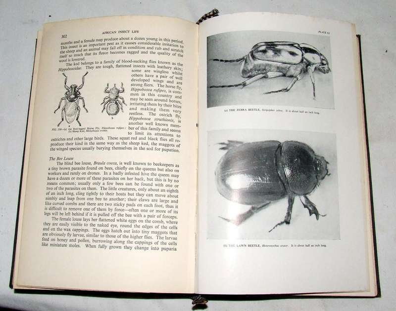 African Insect life by S.H. Skaife