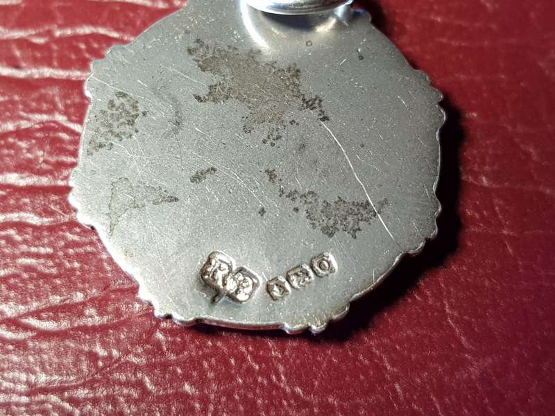 1969 Colonel Heydenrych Sterling Silver Medal In Very Good Condition - [10,8 g]