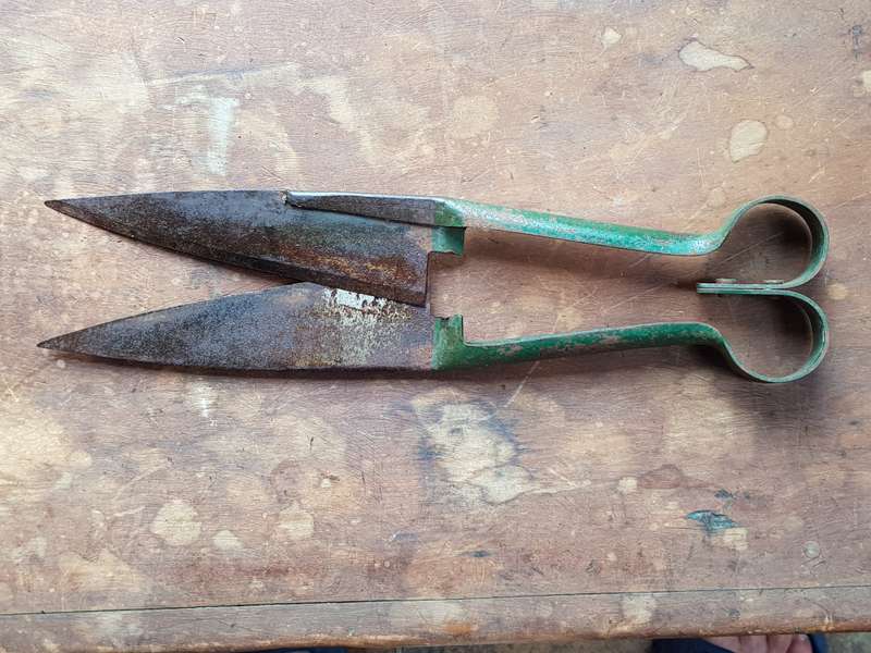 Vintage Steel Garden Scissors