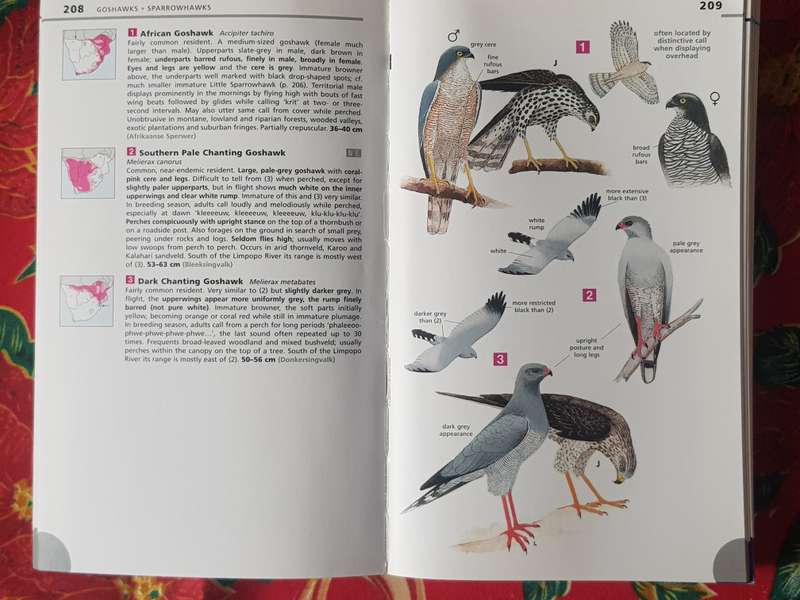 Newmans Birds Of Southern Africa In Excellent Condition*