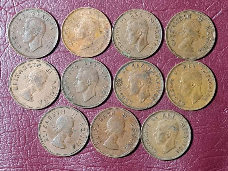 11 x SA Union Half Pennies