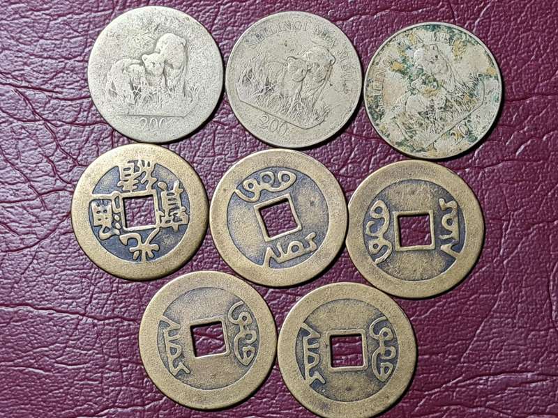 A Lot of 8 International Coins
