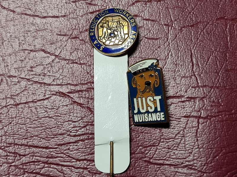 2 x Lapel Pins
