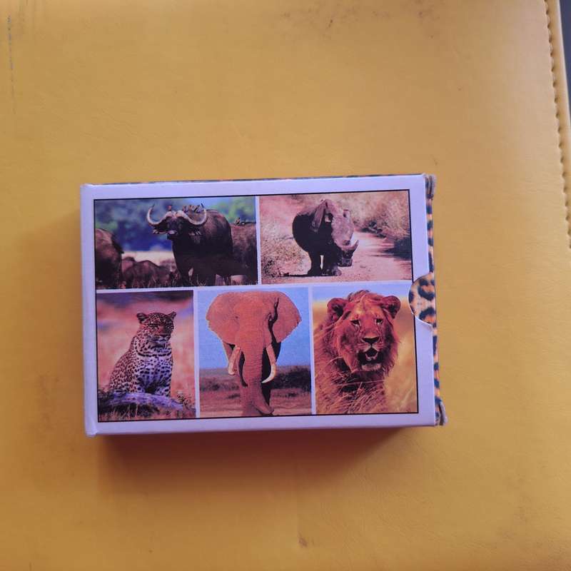 South African Big 5 playing cards