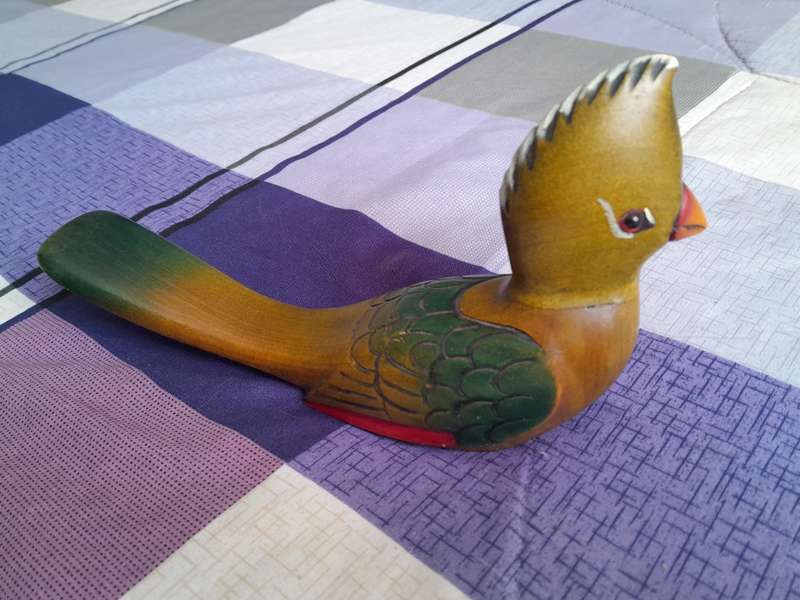 Knysna Loerie