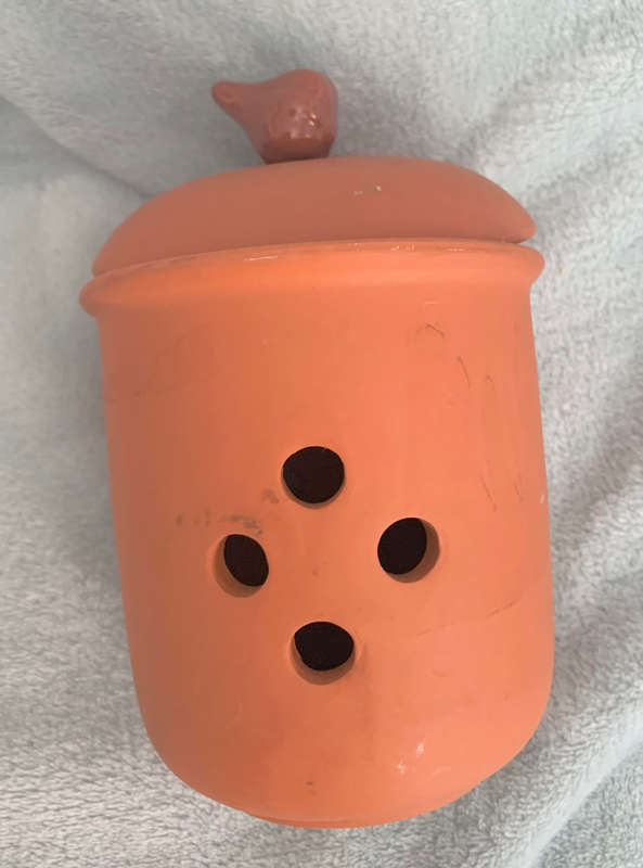 Terracotta Garlic Keeper
