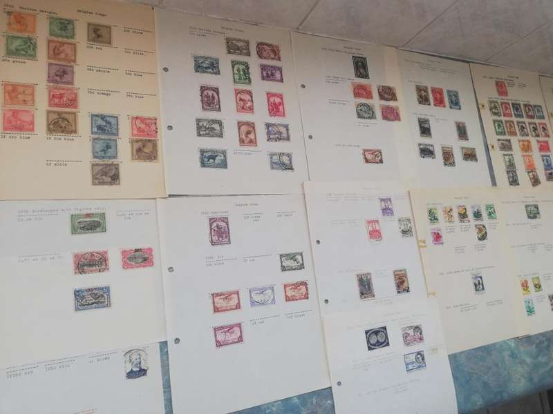 Belgium Congo on Pages (Lot827)