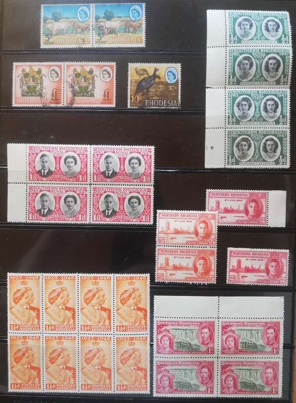 Rhodesia Mix (Lot877)