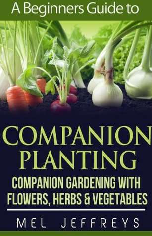 A Beginners Guide to Companion Planting - Companion Gardening with Flowers, Herbs & Vegetables