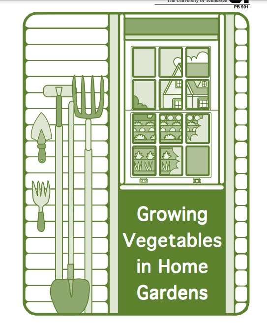Growing Vegetables in Home Gardens.