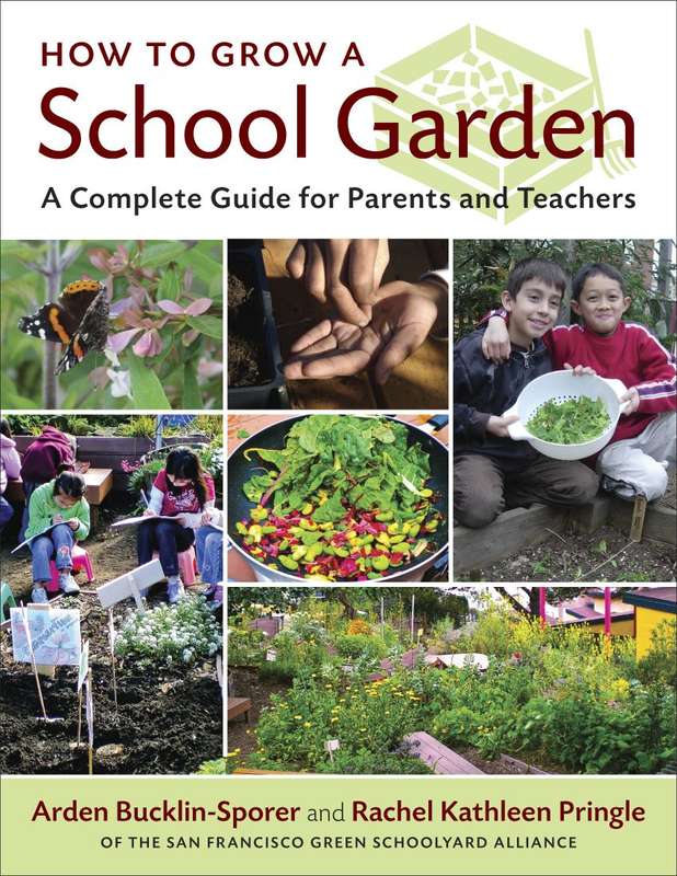 How to Grow a School Garden - A Complete Guide for Parents and Teachers