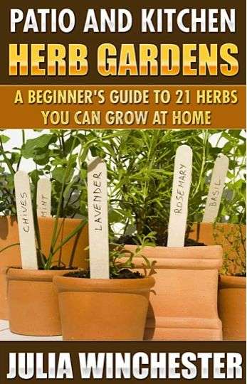 Patio and Kitchen Herb Gardens