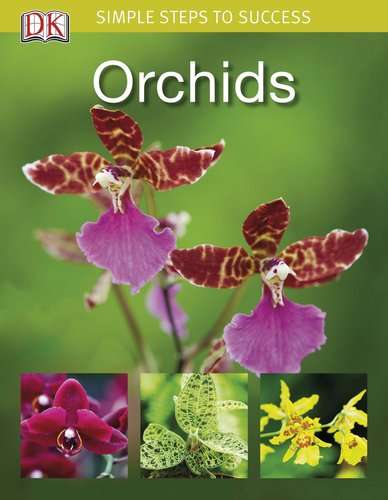 Simple Steps to Success - Orchids