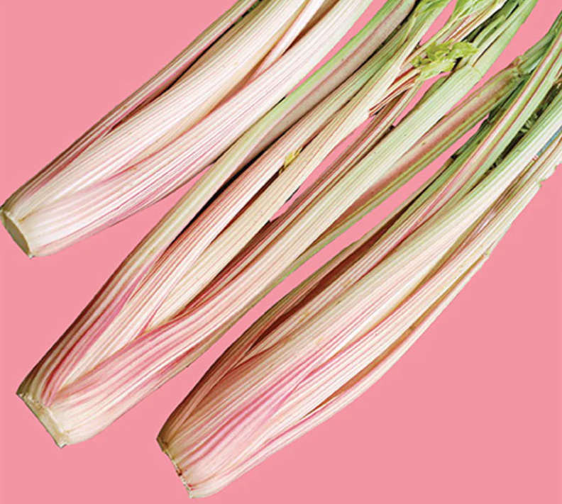 Celery `Peppermint Stick`     - 30 Seeds