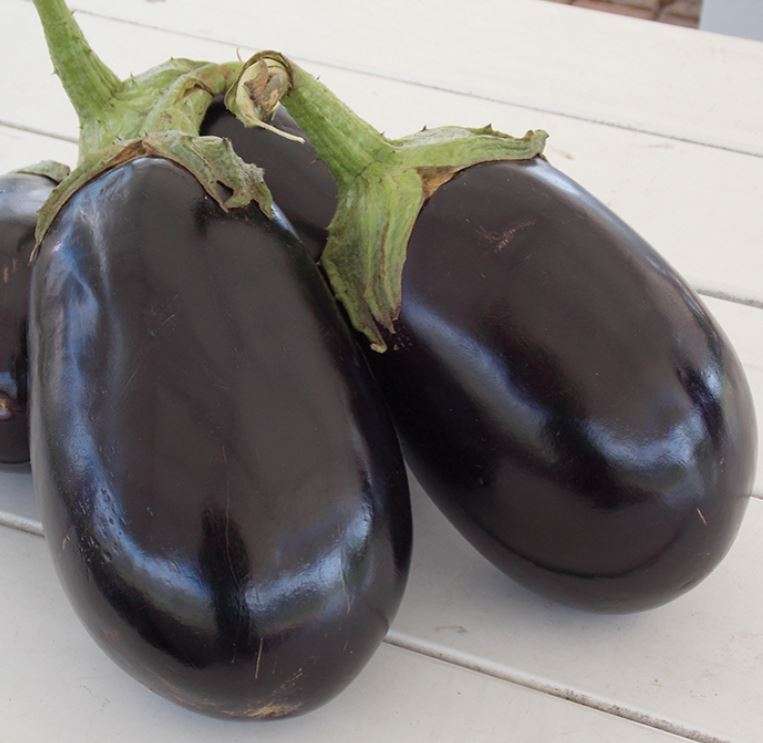 PURPLE KING EGGPLANT / Brinjal / Aubergine -  20 Seeds