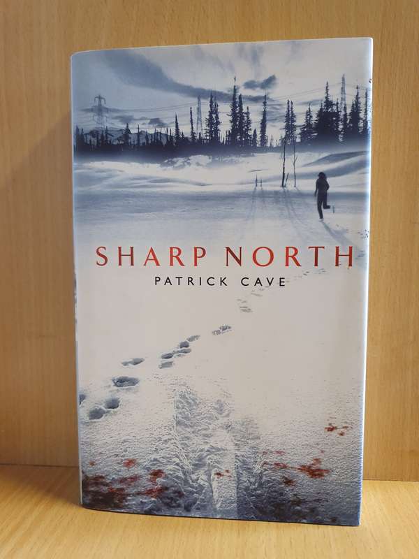 Taking the Lead: Sarah Monk (Paperback)