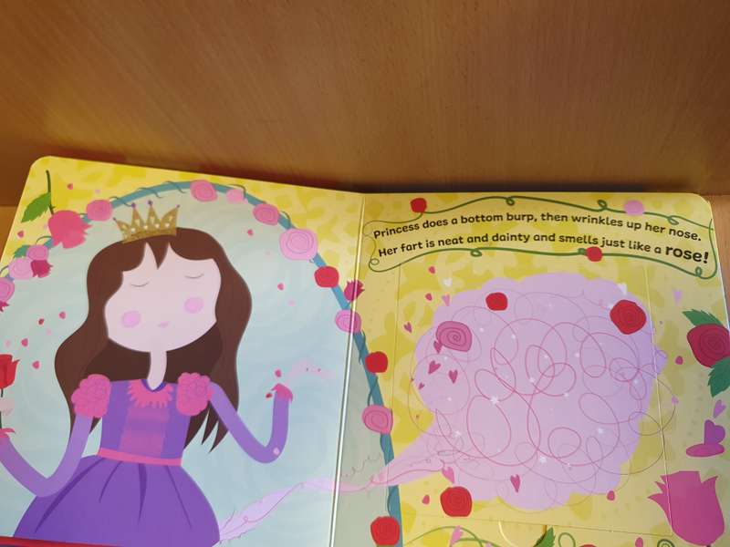 Fart Book (A lift the Flap Book)  Board book