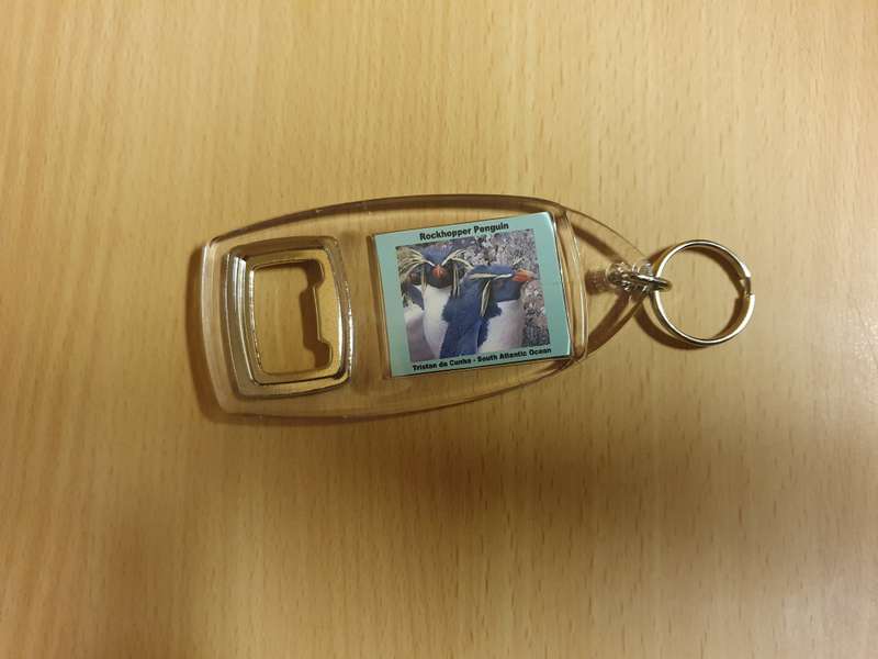 Rockhopper Penguin Bottle Opener/Keyring